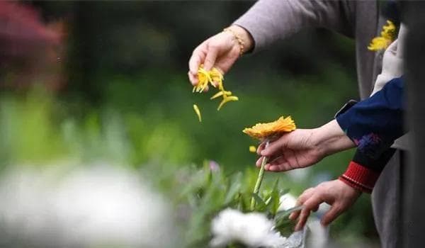 为什么立春要躲春：揭秘习俗背后的科学