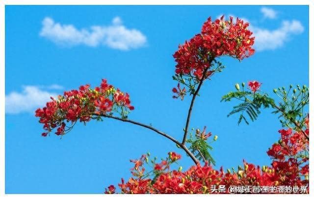 保持好心情的10个习惯，心情好，生活好