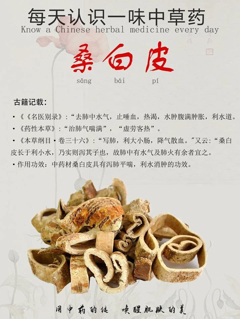 桑白皮的功效与作用,传统中药材的神奇功效