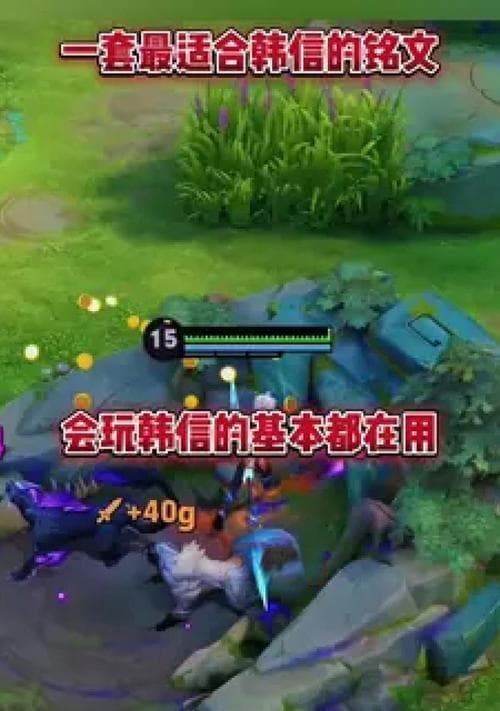 王者荣耀韩信半肉铭文出装顺序攻略：从装备到实战技巧全解析