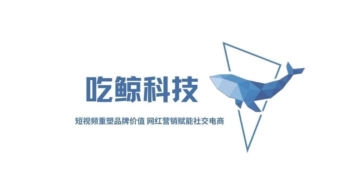 海外KOL营销策略：3:6:1预算法实战解析，提升品牌效益的关键
