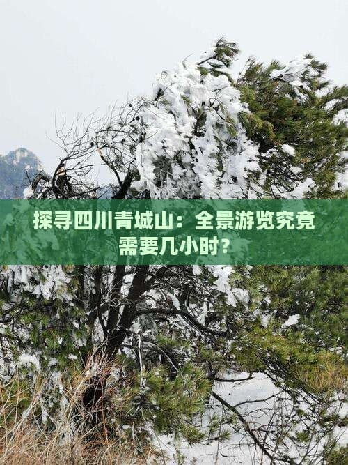 全景游览青城山需要多久？详细攻略来了