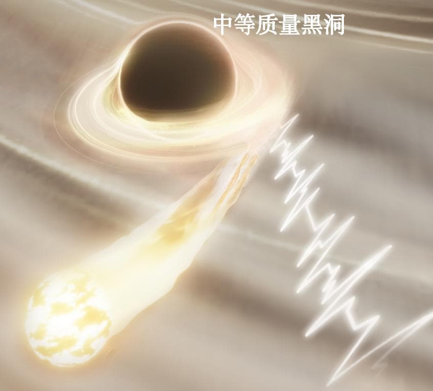 科学家首次探测到中等质量黑洞吞噬恒星的“心跳”