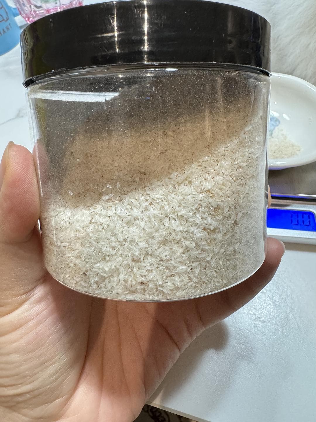 洋车前子壳在猫咪保健中的正确使用方法