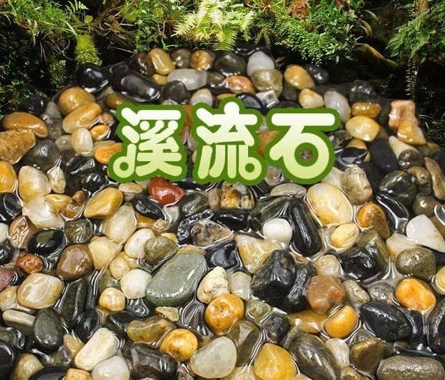 水族箱美化教程：从底砂到吸水石，打造自然生态景观
