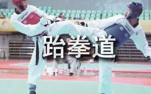 跆拳道入门技巧详解：从柔韧性到基本技术的全面指南