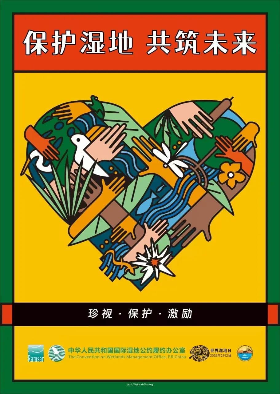 江苏盐城：黄海明珠！“湿”意盎然筑未来
