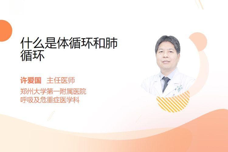 什么是体循环和肺循环