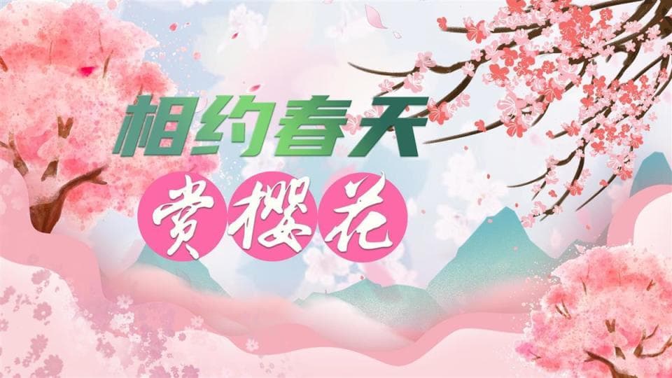 武汉东湖多部门使出“绣花功夫”，联合护航“最美樱花季”