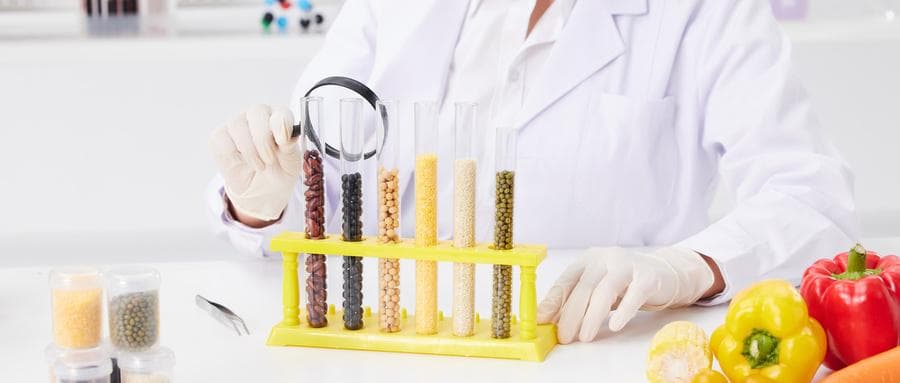 食品科学与工程专业详解：就业前景与院校推荐