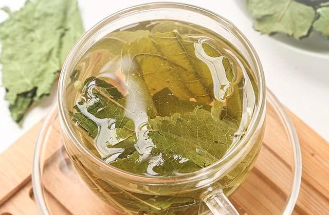 桑叶茶饮用指南：适合季节、人群及禁忌全解析