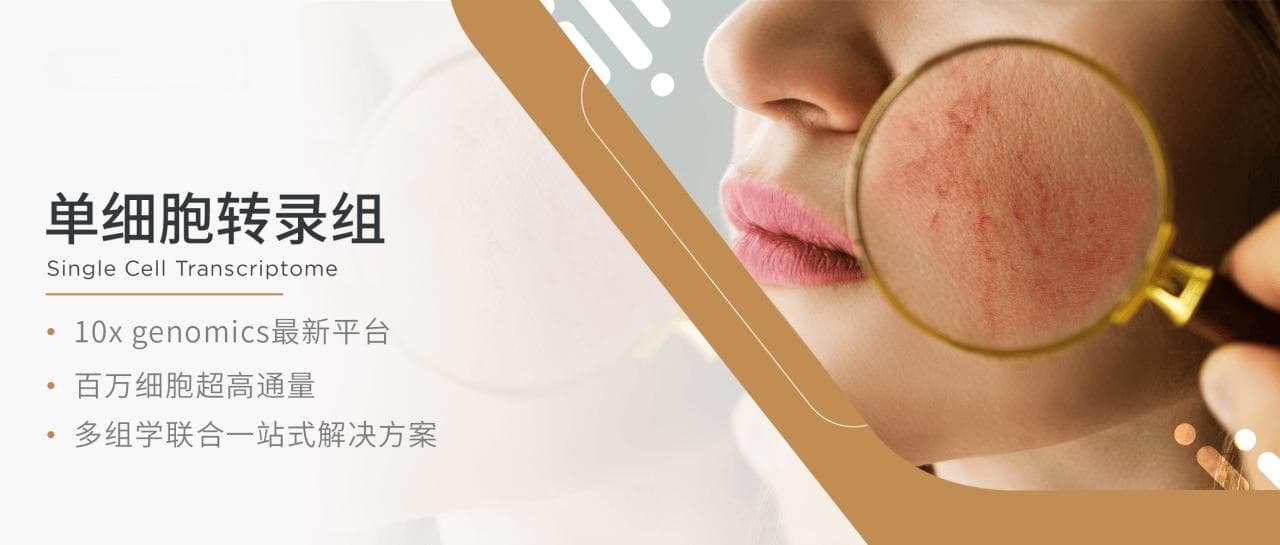 湘雅医院研究团队发现酒糟鼻关键致病细胞，为治疗带来新希望