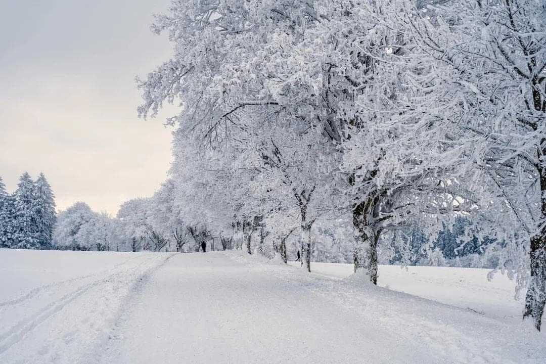小雪节气养生指南：保暖进补有度，五招应对寒冬