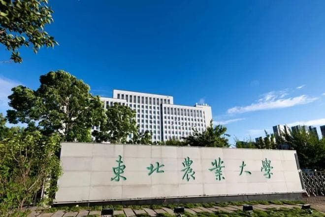 黑龙江高校经费大洗牌：哈工大远超哈工程，东林超东农，黑大第7