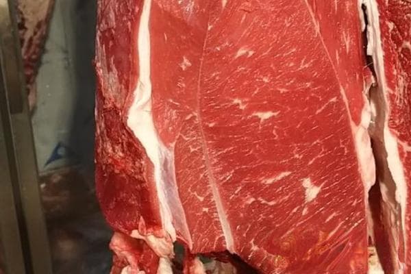 2025年4月份羊肉价格行情分析