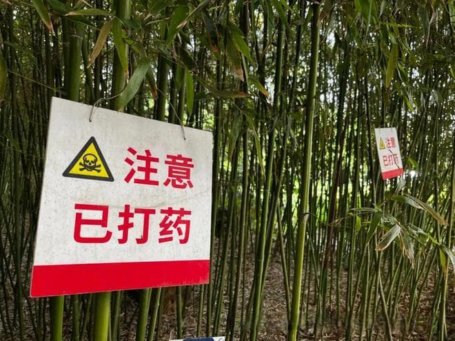 生活中的药物使用指南：既防健康隐患，又护生态环境