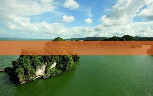 航空旅行中携带海南海鲜的规定与注意事项详解