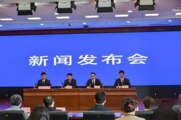 内蒙古发现窃蛋龙类恐龙新类群：“百年鸳鸯龙”填补演化空白