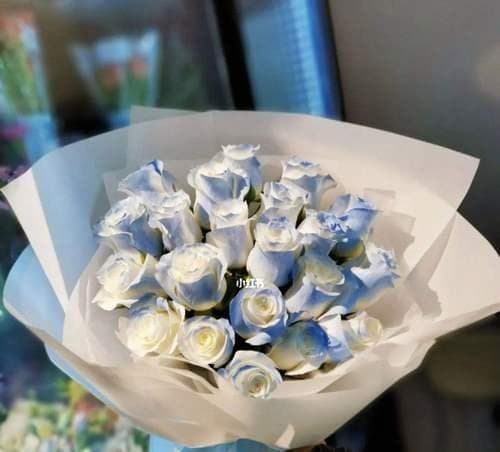 碎冰蓝玫瑰：解读其独特的花语与象征意义