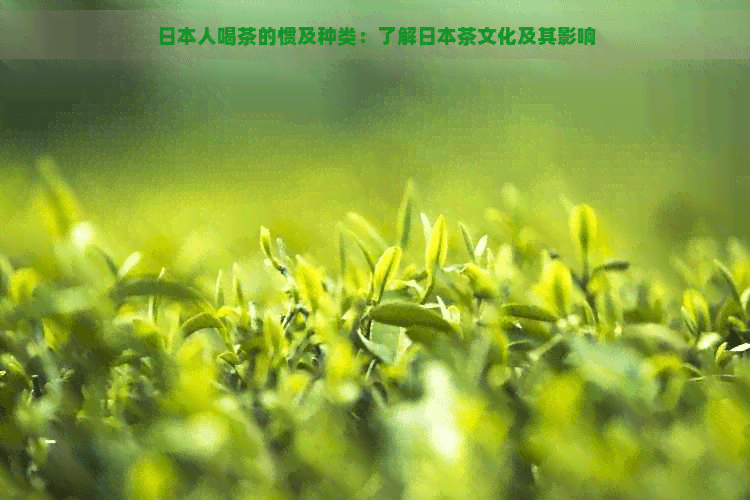 人喝茶的习惯及种类：了解茶文化及其影响