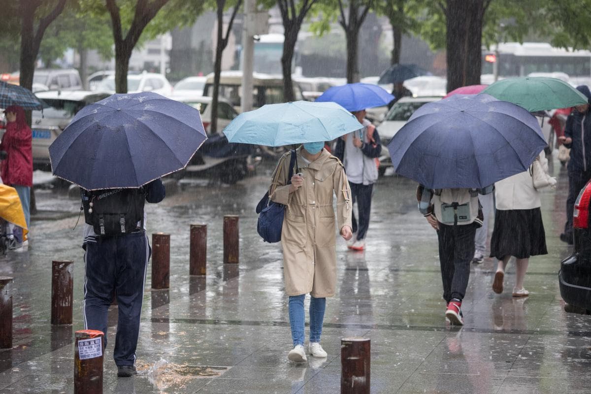潮湿多雨季节 如何巧妙应对：解读雨季候下的健康防护策略