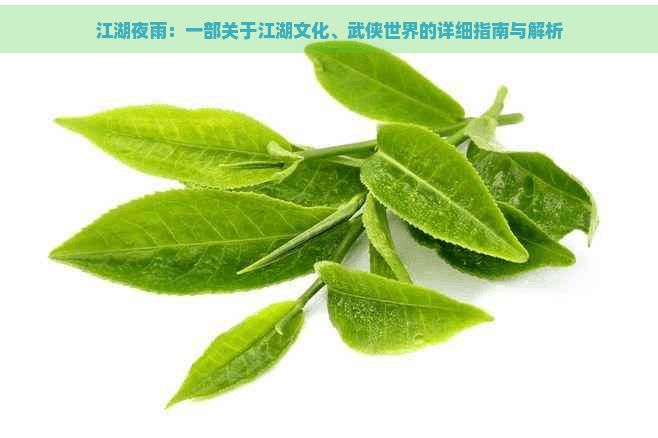 江湖夜雨：一部关于江湖文化、武侠世界的详细指南与解析