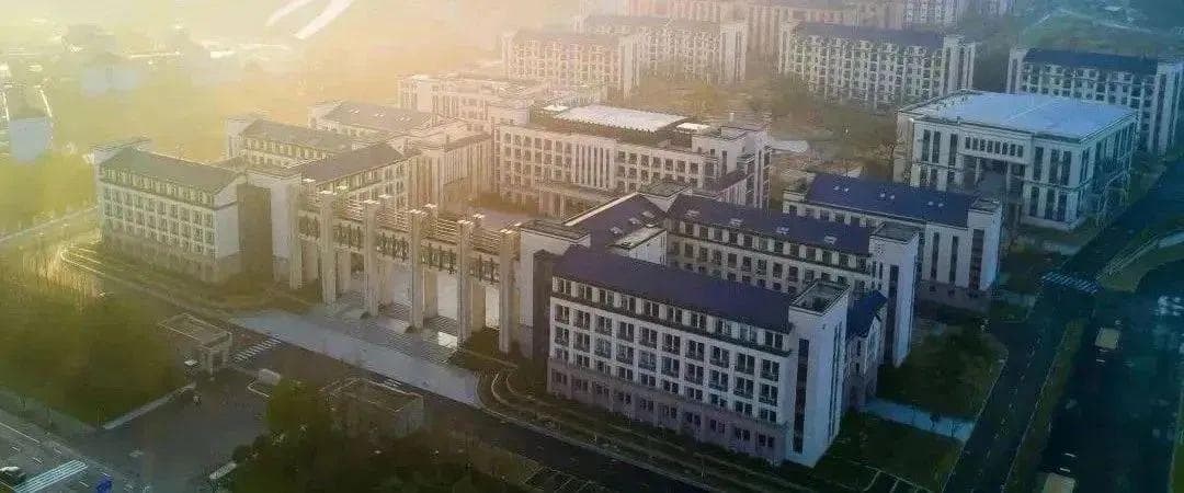 2024年杭州公办学校国际部升学数据汇总