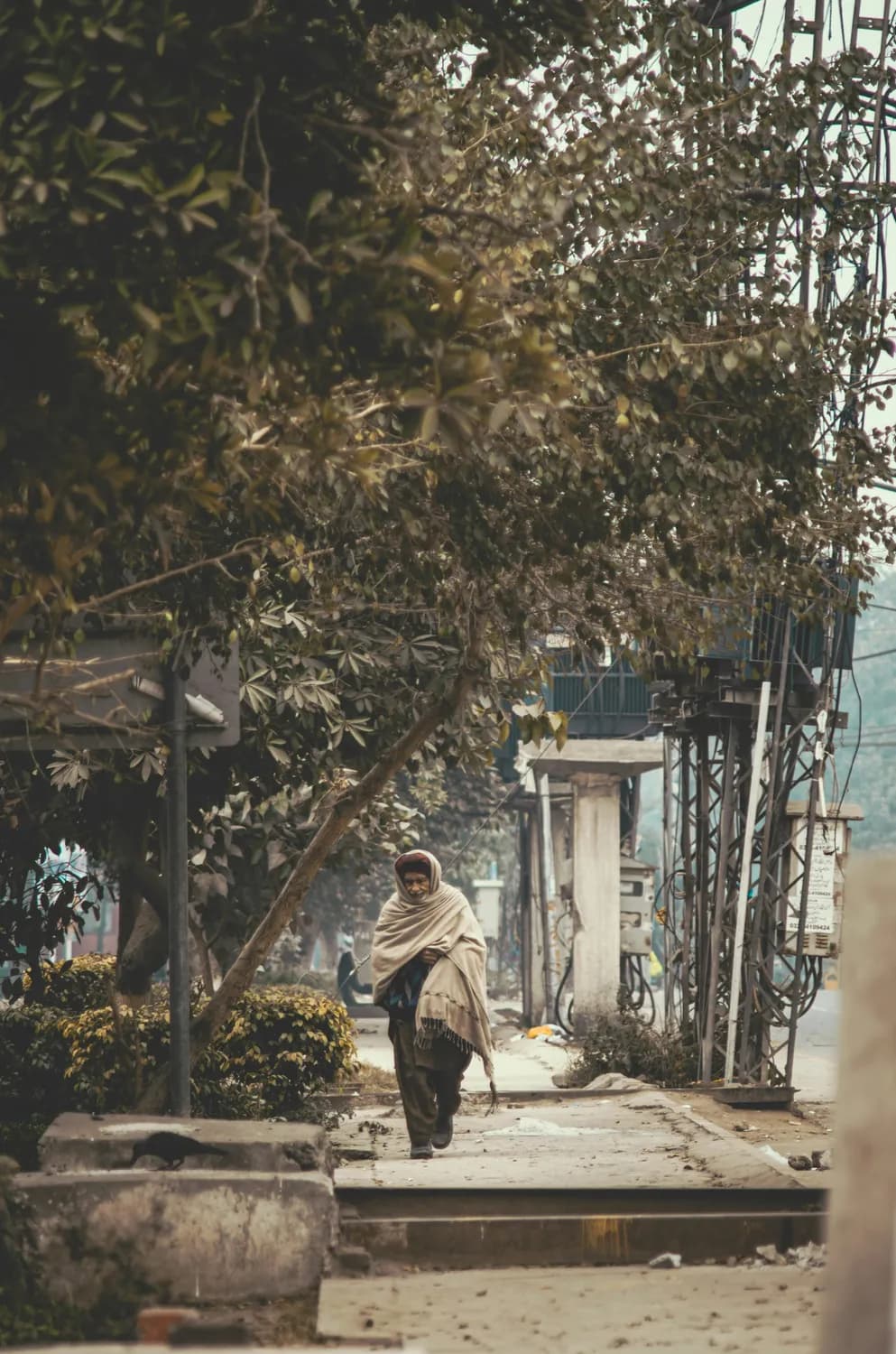 不如潇洒走一回：人生苦旅的诗意表达