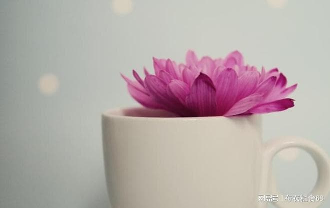父子相处的艺术：让与不让的智慧