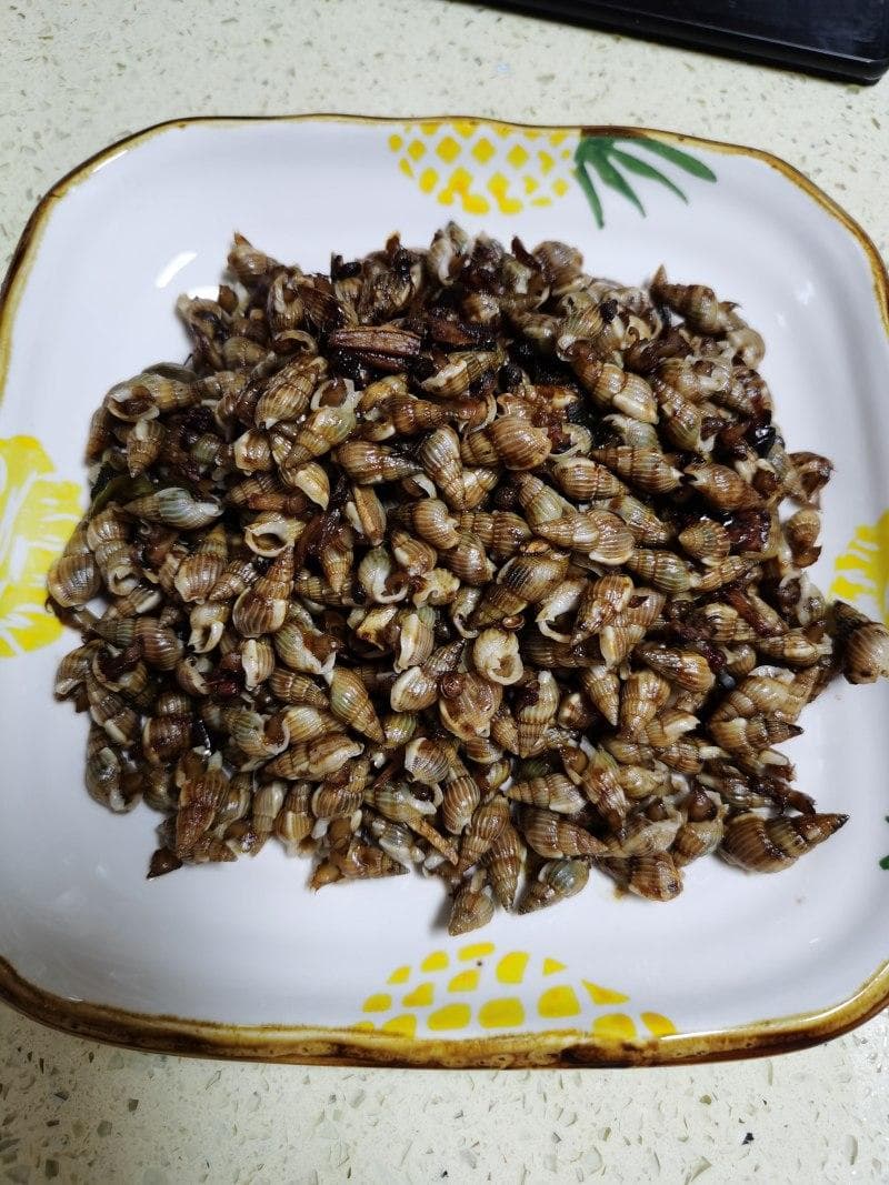 海螺丝烹饪全攻略：8种经典做法，让你在家也能做出美味佳肴