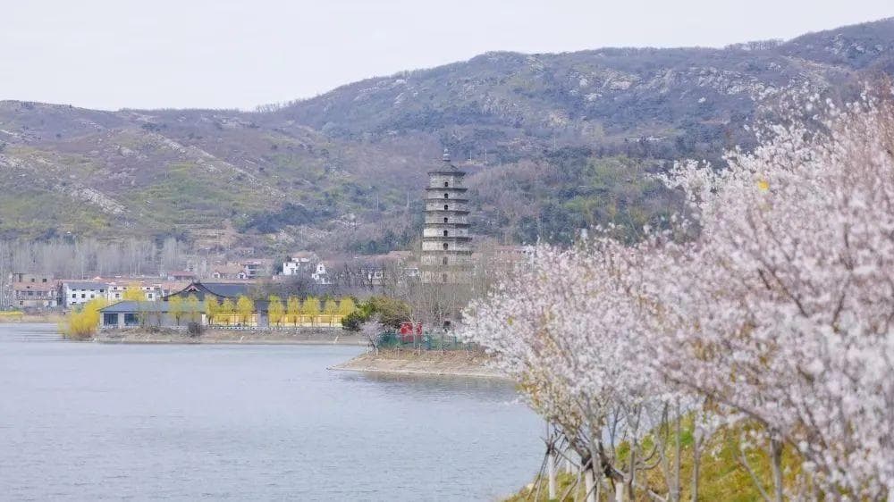 这个春天，来连云港看花海、大海和云海
