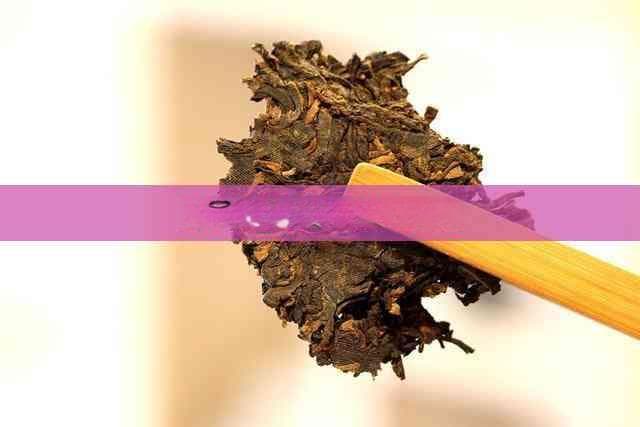 茶叶螨虫怎么预防怎么治
