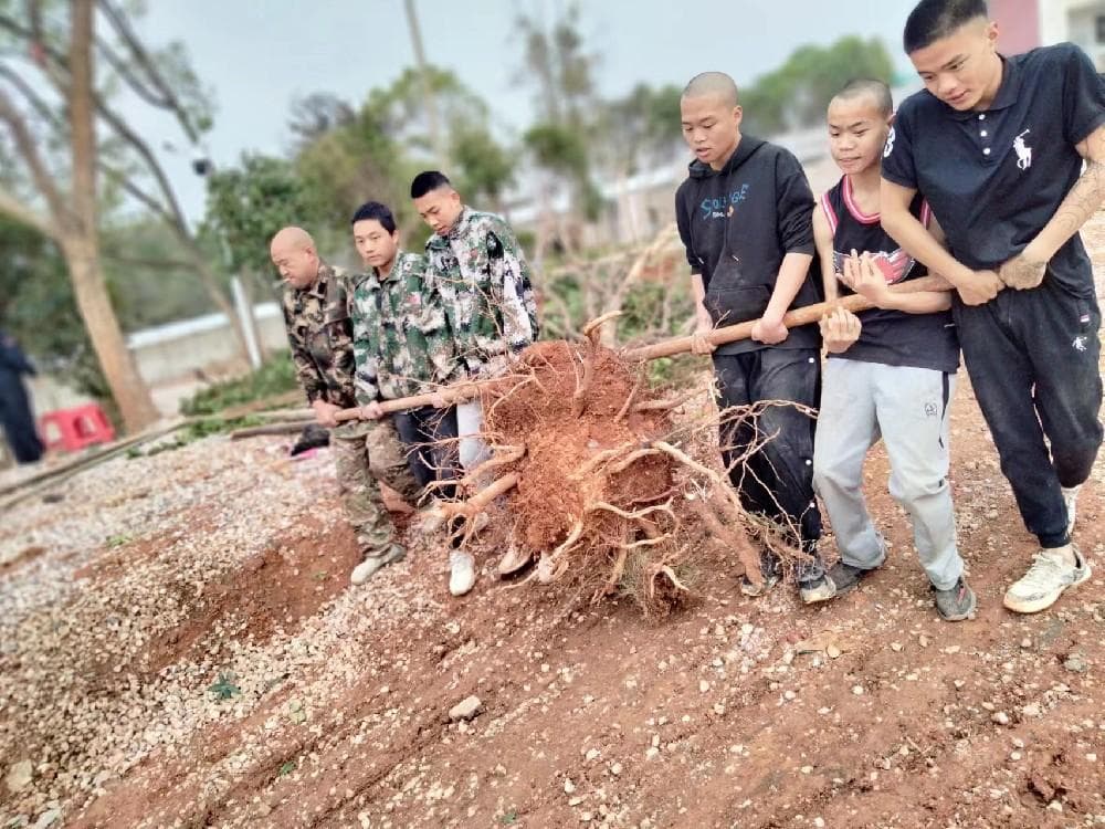 青少年叛逆期的劳动教育教学的必要与意义