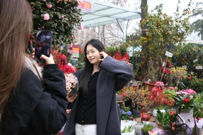 （新春见闻）年轻人追捧年花 高性价比成首选