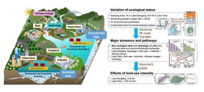 土地利用与河湖连通性：湖泊生态系统底栖生物多样性的决定因素