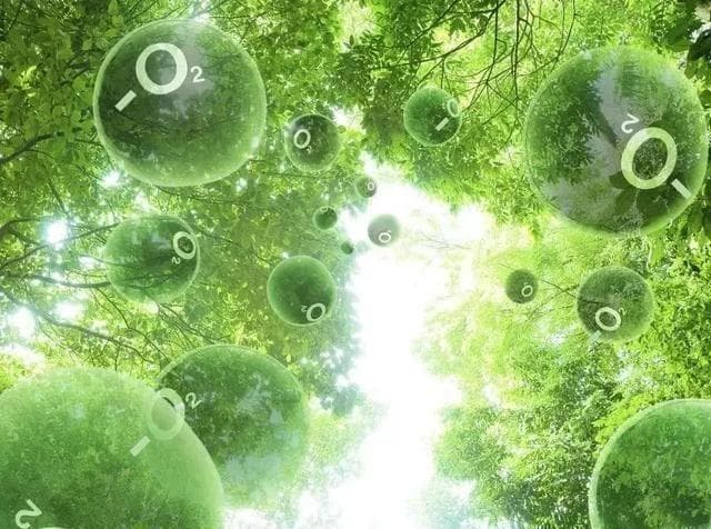 呼吸新鲜空气中的隐形维生素——空气负离子的奥秘