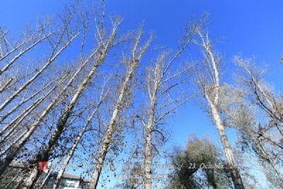 湖北鄂州沼山森林公园：自然与人文的完美融合