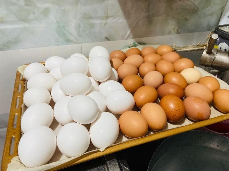 咸鸡蛋的腌制方法：从选材到成品的完整指南