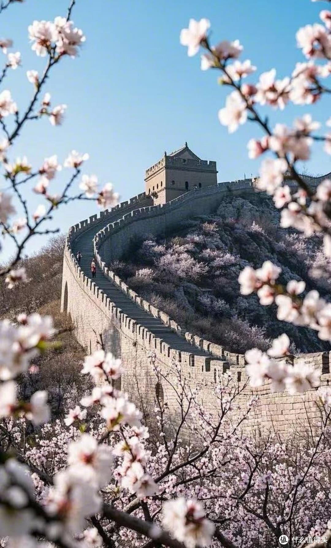八达岭长城：穿越时空的壮丽邂逅