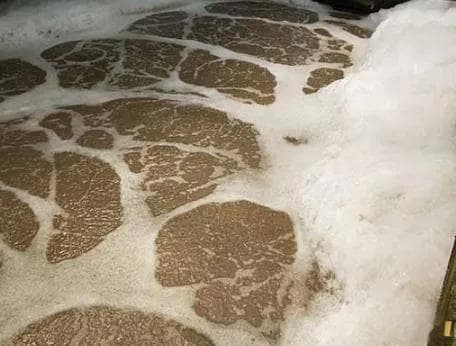 高浓度含盐废水对微生物的影响及应对策略