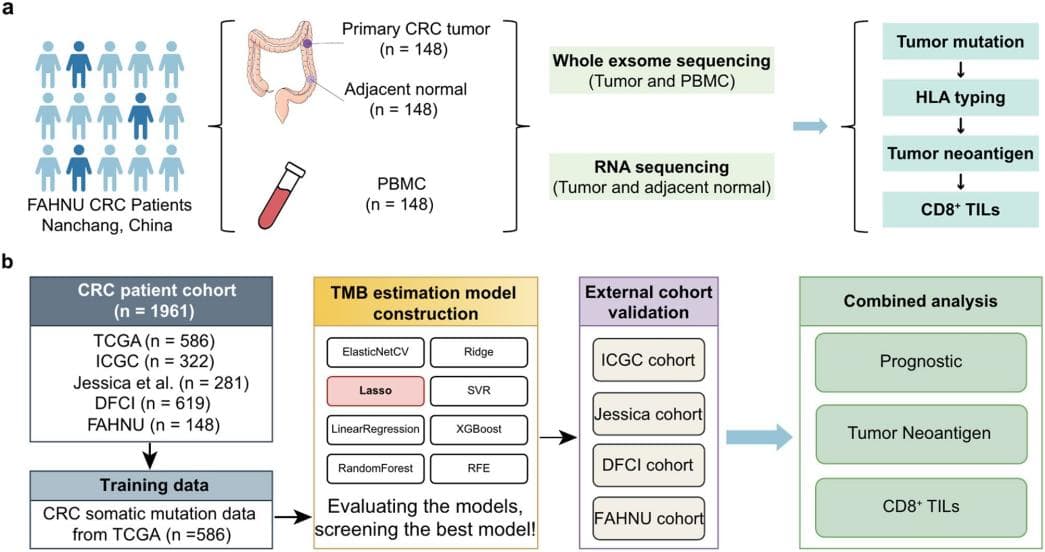 RNA-seq+WES-seq+机器学习，揭示DNAH5是结直肠癌的预后标志物