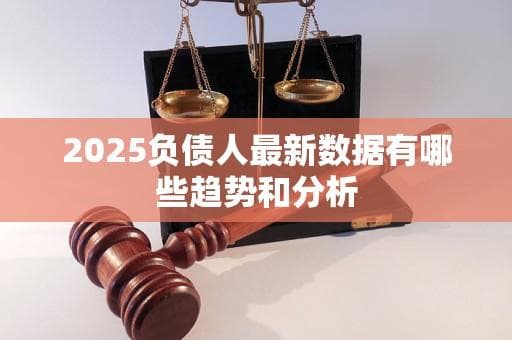2025负债人最新数据有哪些趋势和分析