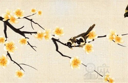 霹雳布袋戏里的意境名字：九幽蛇皇、夜神月、紫陌红尘