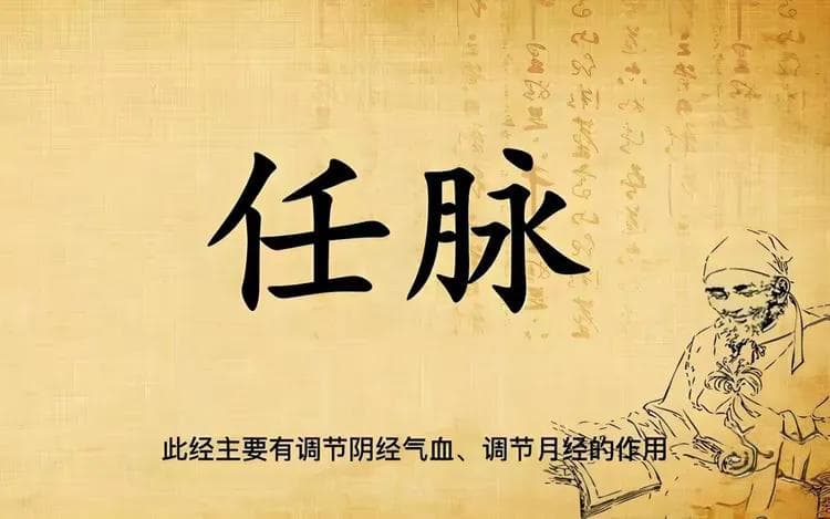任脉穴位图解：位置、作用与主治全解析