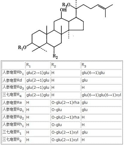 三七总皂苷的化学结构、药理作用与提取方法