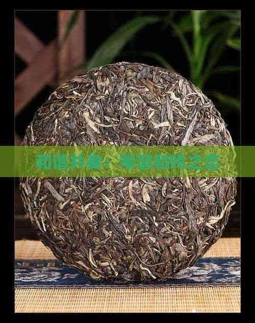 和谐共奏：琴瑟和鸣之恋