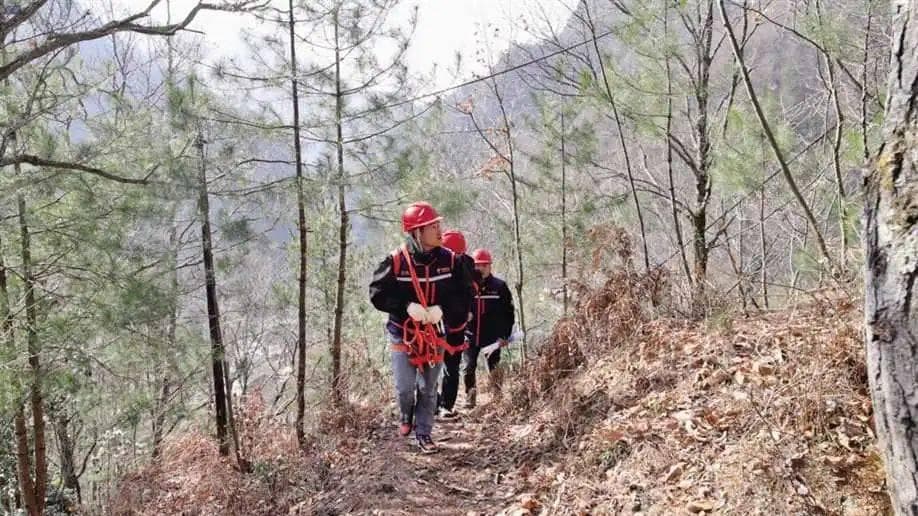 重庆电信：优质信号覆城乡 数智引领兴巴渝