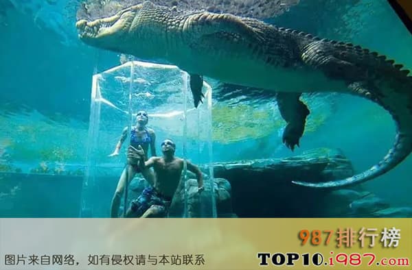 世界十大巨型鳄鱼