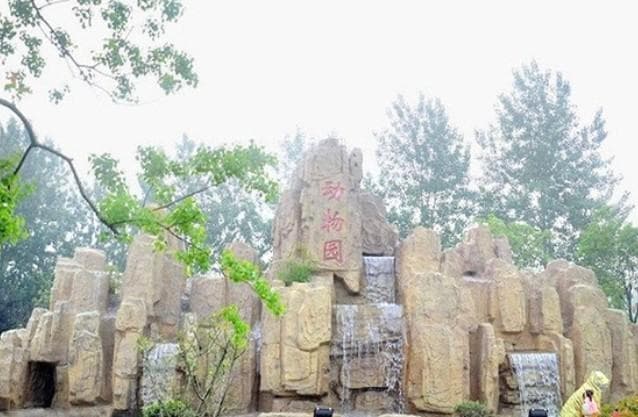 溱湖湾森林动物王国游玩攻略：营业时间、地址及动物表演时间全解析