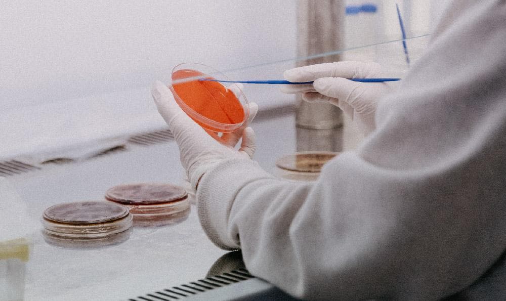 用科学解决生活中的问题